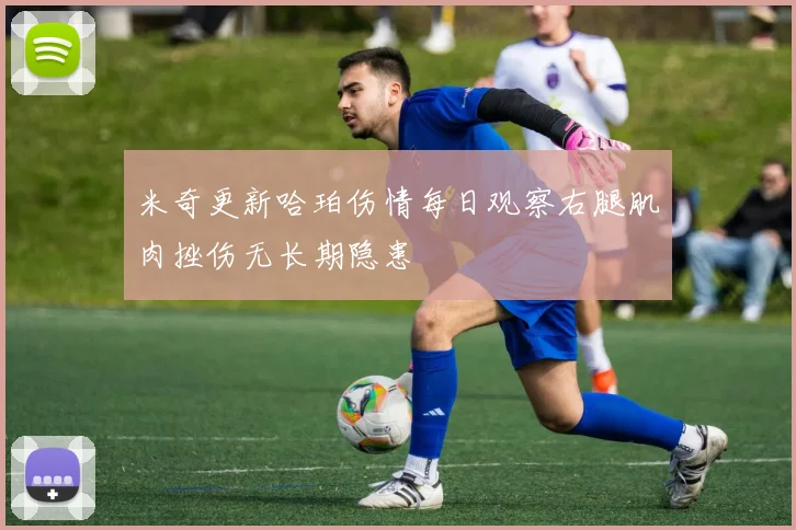 米奇更新哈珀伤情每日观察右腿肌肉挫伤无长期隐患